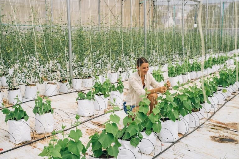 Woman tending plants in a modern indoor farm, focused on sustainable agriculture.